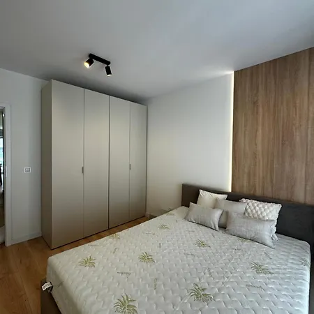 Fiqus Marcelin Poznaň